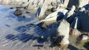 stone Part 3#river #stone #water #shortvideo # videoshort #trends #trend