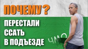 Домофон для загородного дома. Как перестали ссать в подъезде