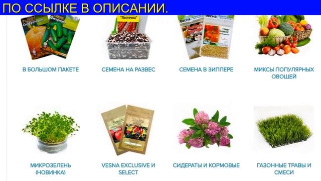 Лучшие Сорта Моркови