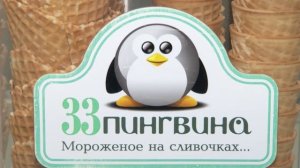 33 Пингвина Астрахань