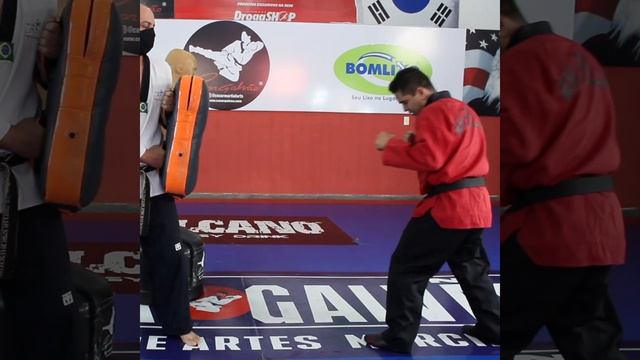 Cezar Galvão Teaching the spinning back kick in Taekwondo смотреть онлайн