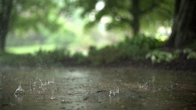 видео бесплатное 1