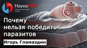 Почему нельзя победить паразитов | Паразитология: лекции – Игорь Гламаздин | Научпоп | НаукаPRO