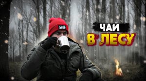 Один в лесу | Готовим травяной чай