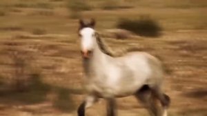 Гойко Митич. Возраст принимаю спокойно