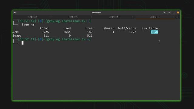 Linux Server Swap and Memory Usage | Top Docs from Linode