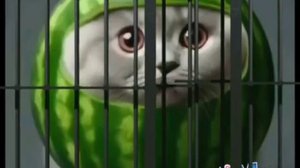 да это не я...