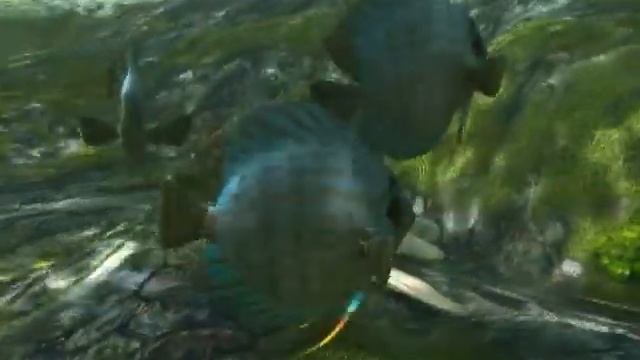 Анимация рыбок смотреть онлайн