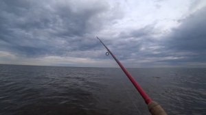Финский залив и Чёрная речка. Рыбалка с балеринкой.