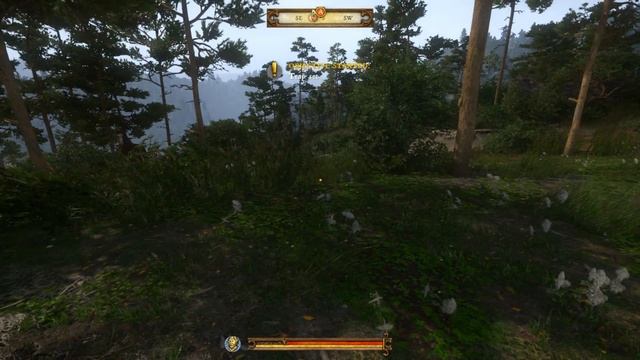 Kingdom Come Deliverance A Bird in the Hand Quest Walkthrough смотреть онлайн