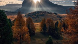 Colin McAllister. What We Had