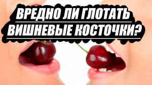 Вредно ли глотать вишневые косточки?