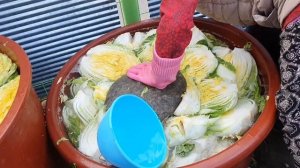 Корейцы Готовят Кимчи из 170 Кочанов за 2 дня. Традиционный Рецепт