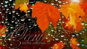 🍂💖🍂 Какая Осень за Окном! Какая Осень! 🍂💖🍂