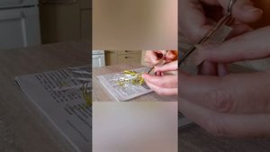 Дешево и сердито. Мои мокрые обои.