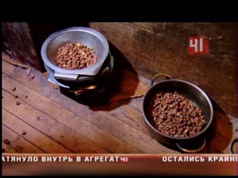 Живодер из Екатеринбурга