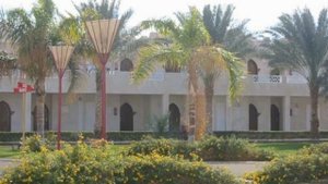 Reef Oasis Beach Resort 5* (Риф Оазис Бич Резорт 5*) Египет, Шарм-эль-Шейх