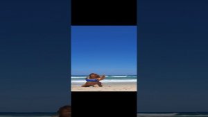 YOGA  🙏 | ЙОГА 🧘♀️ 🏝❤#love #yoga #fun #motivation #om #life #smile #reels #nature #happy #art