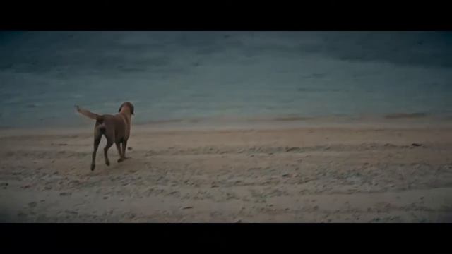 bali indonesia photographer video photo Wedding nusa dua ubud canggu смотреть онлайн