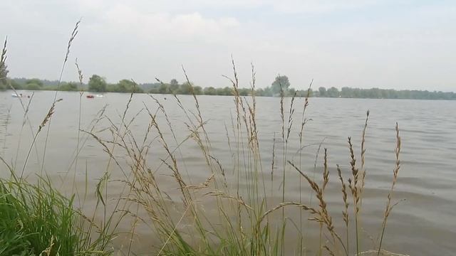 Озеро " Новый путь". Красноярск. Сосновобороск. Железногорск