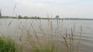 Озеро " Новый путь". Красноярск. Сосновобороск. Железногорск