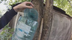 Продолжаю облагораживать зону отдыха на даче