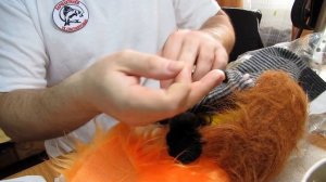 Обзор халявных и недорогих материалов для муховязов. Будет из чего делать мушки