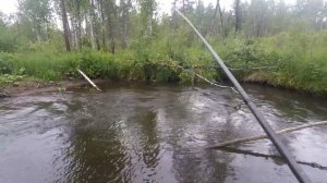 Рыбалка на ХАРИУСА ( ТАЙГА СИБИРЬ ХАРИУС)