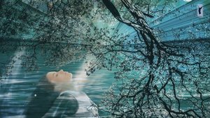 Пророческая пропитка/Мой сад/Дмитрий Крюковский  ?