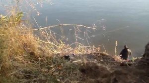 Астраханская пойма .Солодники. Лагерь