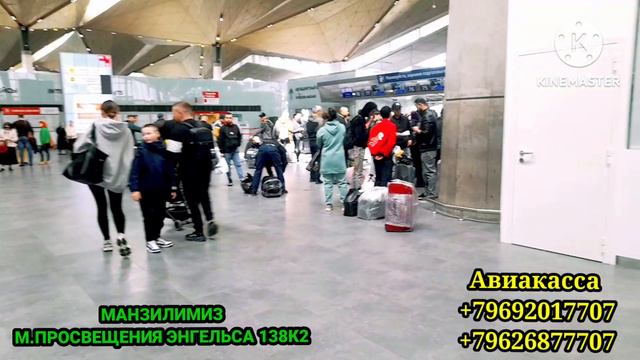 02.05.2023 САНКТ-ПЕТЕРБУРГ‼️ ПУЛКОВО ЯНГИЛИКЛАРИ🇷🇺🇺🇿 #aviasurhon #short #shortsyoutube #aviasurhon смотреть онлайн