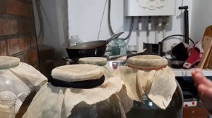 КАК ХРАНИТЬ ПИЯВОК В ДОМАШНИХ УСЛОВИЯХ