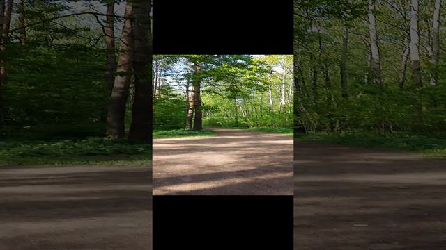 2023-05-23 14-58-18 смотреть онлайн