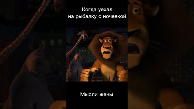Мысли жены когда муж на рыбалке