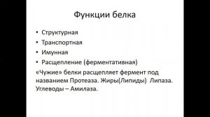 Белки- источник жизни! Что такое коллаген и эластин? Почему так важна их поль для нашего здоровья?