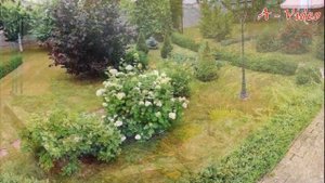 ?Прекрасные примеры обустройства и озеленения участка / Garden ideas / A - Video