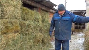 Подручное сено в рулонах или сено в тюках животным для ЛПХ
