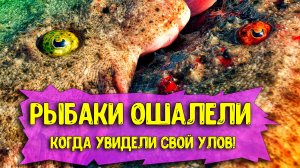 Рыбаки ошалели - вытащив сеть, а там такой улов! Крымские рыбаки на Чёрном море!  Крым сегодня 2023