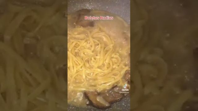 Boletus Badius смотреть онлайн