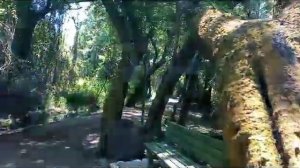 Тропинка к пляжу Otium Family Lykia Botanika 1ч. i-cantravel.ru | Турагентства Coral Travel