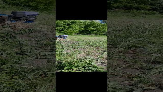 Подготовка грядок под лук