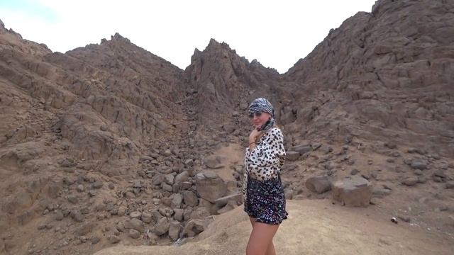 ВЫЖИВАНИЕ в ЕГИПТЕ. ТУРИСТЫ БОРЯТСЯ за ЕДУ в Отеле ВСЕ ВКЛЮЧЕНО! КВАДРОЦИКЛЫ и ОПАСНЫЙ ВЕРБЛЮД