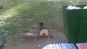 Каннибалы в МОСКВЕ