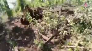 От первого лица: снайперы попали под артиллерийский обстрел ВСУ