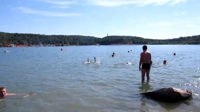Лыткарино Волкуша