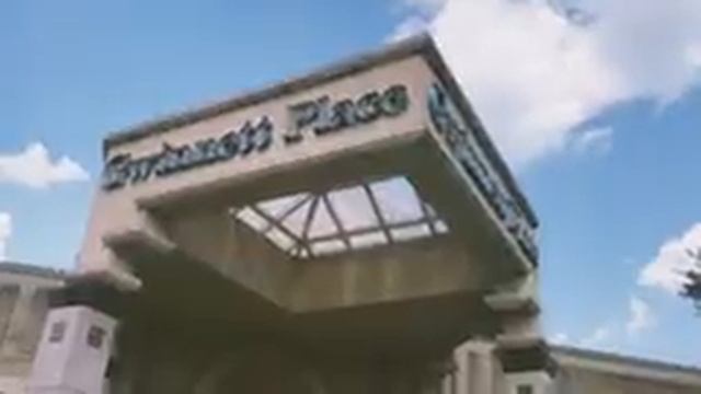 Four month anniversary day date | Java cat cafe and K-town | LGBTQ | LDR смотреть онлайн