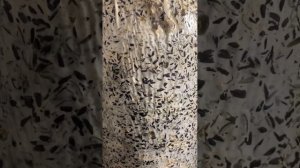 Вторая волна вешенки// бизнес дома