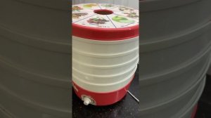 Пастила из слив и яблок! ИДЕАЛЬНЫЙ РЕЦЕПТ! Пастила как в электросушилке, так и в духовке!