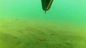 Ловля рапанов в Черном море