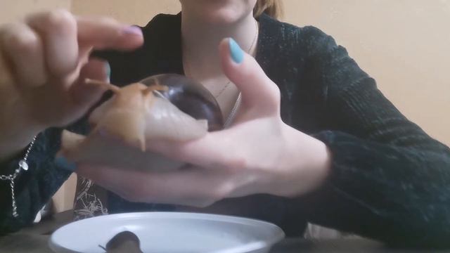 Рубрика от дефектолога центра Юлии Крайновой «Занимательные уроки» смотреть онлайн